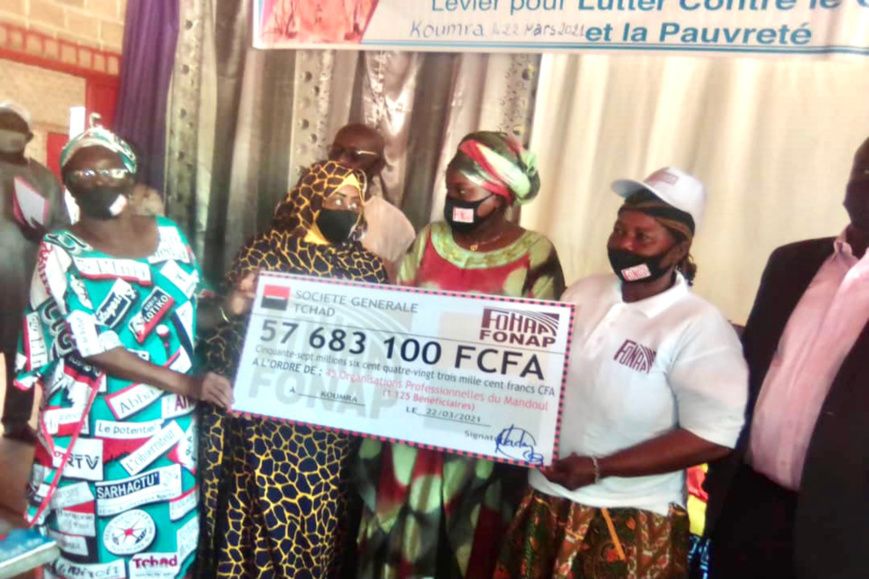 Tchad : le FONAP appuie la formation des jeunes au Mandoul