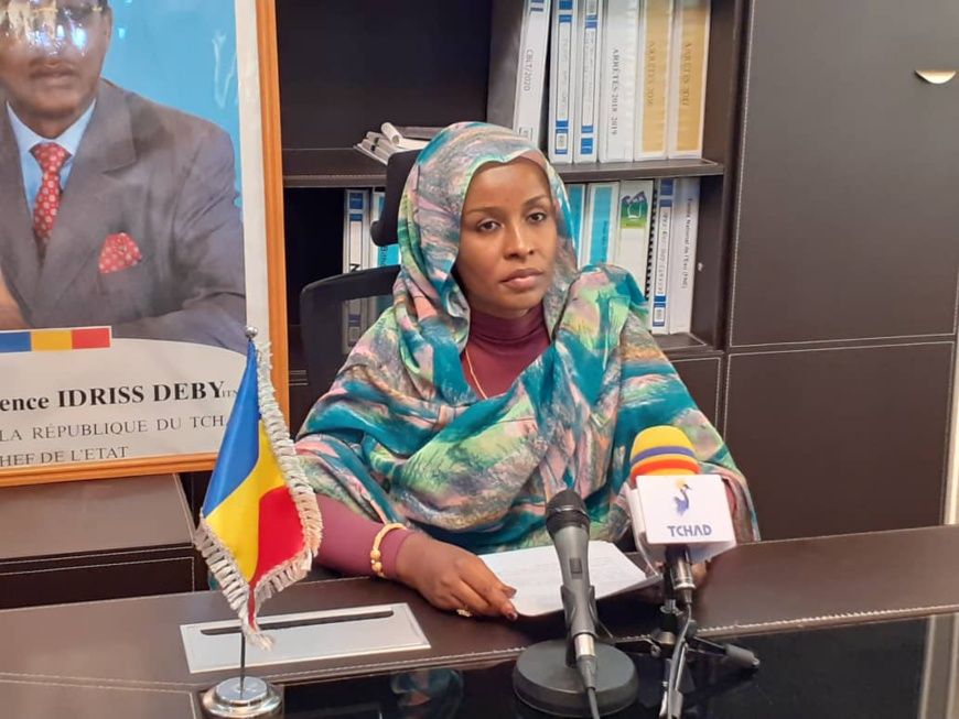 Bassin du Lac-Tchad : l'amélioration de sa gestion au centre d'une réunion