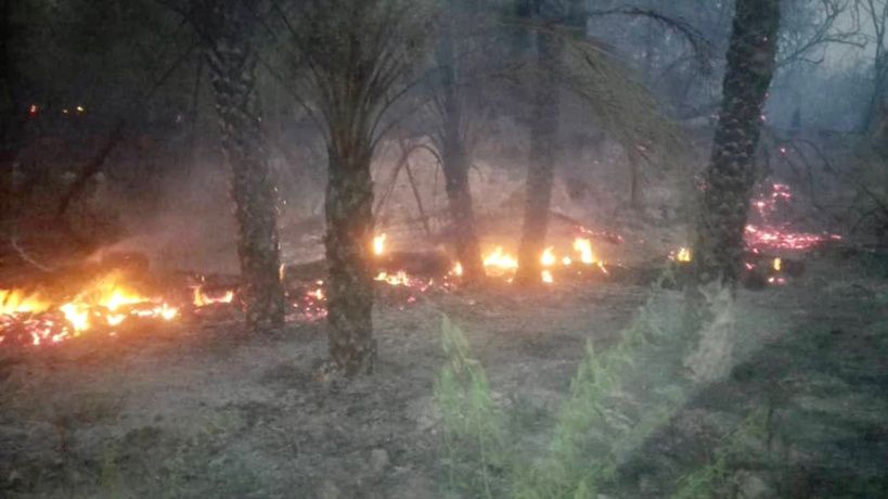 Tchad : un incendie fait des ravages à Mao