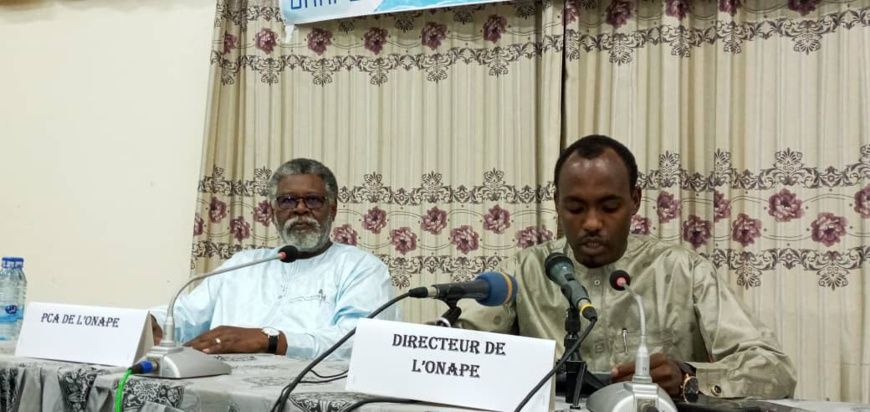 Tchad : l'ONAPE forme les jeunes à la recherche virtuelle d'emploi