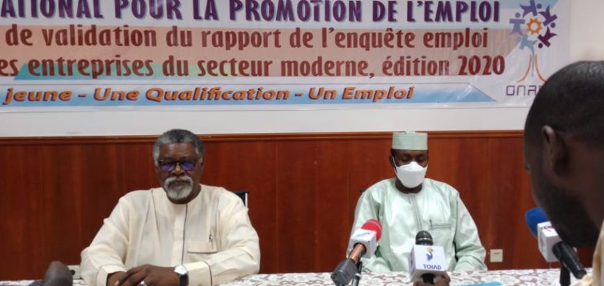 Tchad : l’ONAPE lance l’atelier de validation de l’enquête sur le secteur moderne