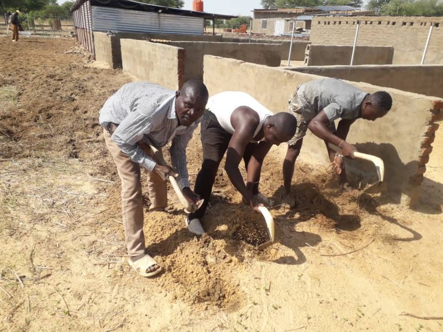 Tchad : la cherté de la vie à N'Djamena pousse des citoyens vers la terre