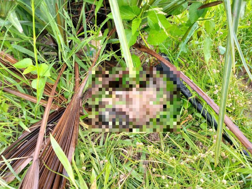 Tchad : le corps d’un nouveau-né découvert dans des buissons à Laï