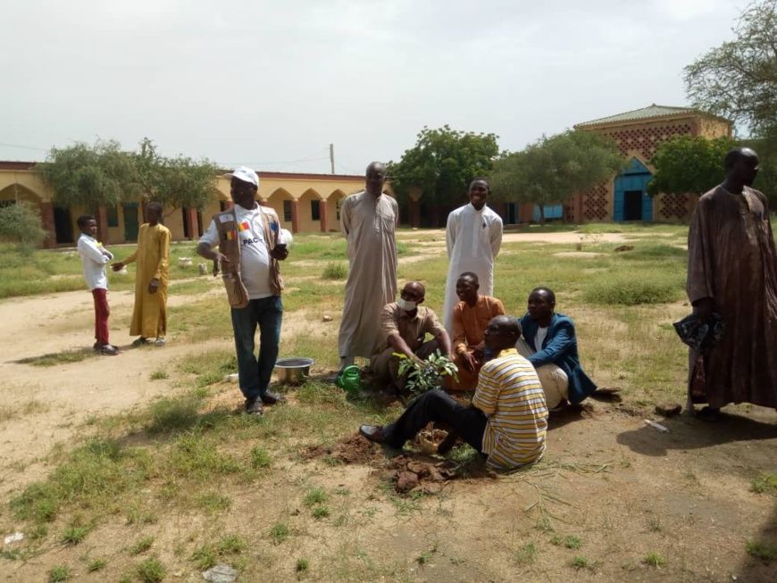 Tchad : des plants de Mourraye mis en terre au lycée franco-arabe d'Abéché