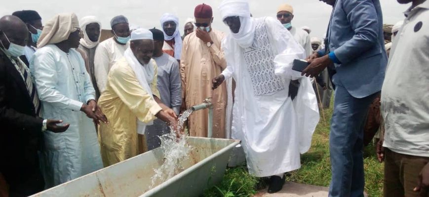 Tchad : le marché à bétail d'Oyo inauguré au Guera