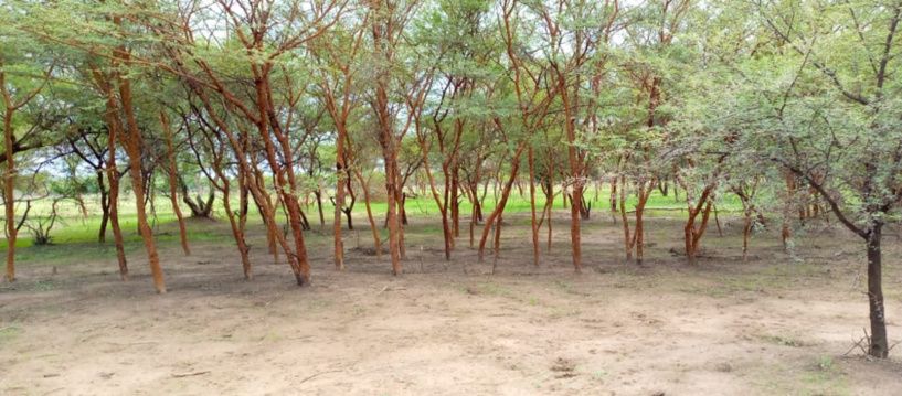 Tchad : un père tue un homme au Sila pour venger la mort de son fils