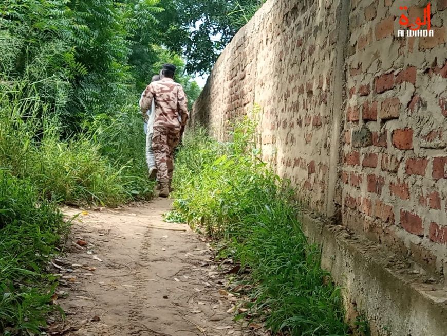 Tchad : un jeune se suicide par pendaison à Walia