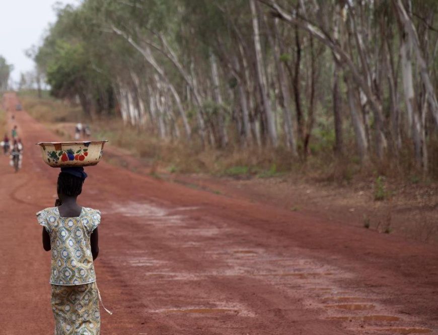 Illustration © Pierre Terdjman / AFD