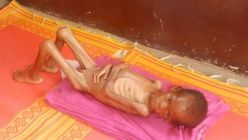 Association Mégateuf.