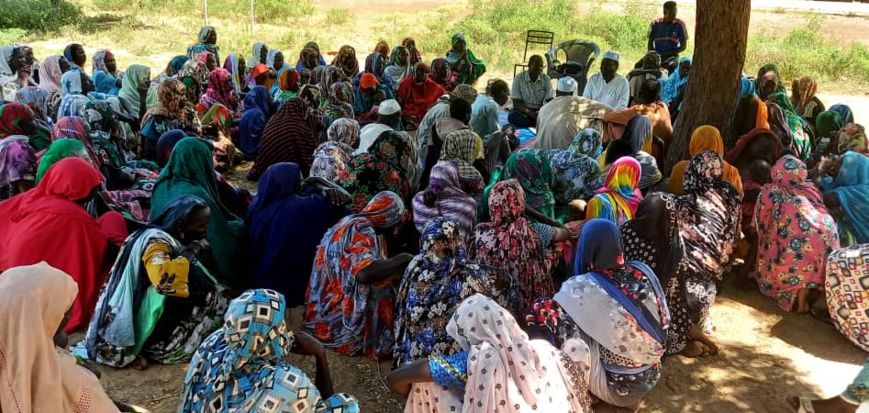 Tchad : le comité provincial de la protection de l'enfant en tournée au Guéra