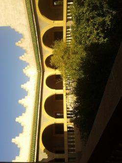 Riad 768m² à 20 km d'essaouira