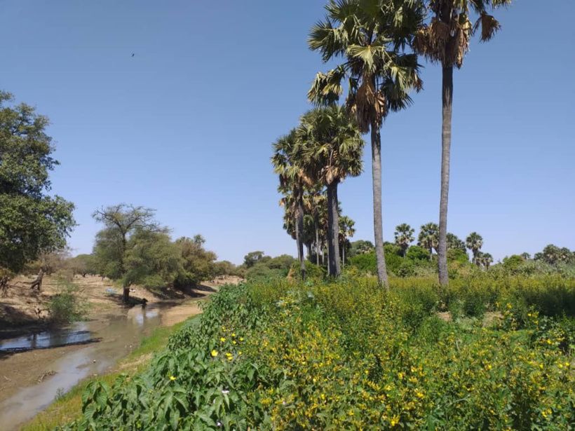 Tchad : un père et son fils assassinés pour des chèvres au Sila