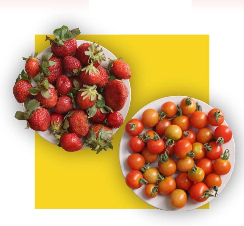 Tchad : le PCMT reçoit un généreux cadeau de Saleh Kebzabo