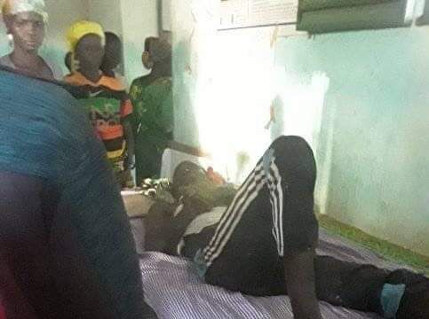 Tchad : des éléphants font des ravages à Dafra