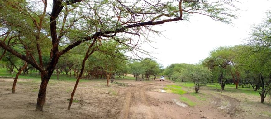 Tchad : un mort et plusieurs blessés dans des violences au Sila