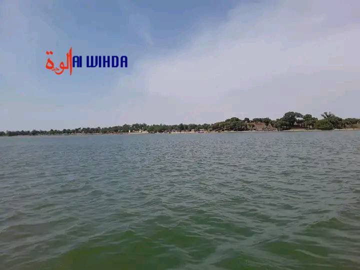 Tchad : dans le Lac-Léré, les hippopotames menacent les habitants du village Mourbamé