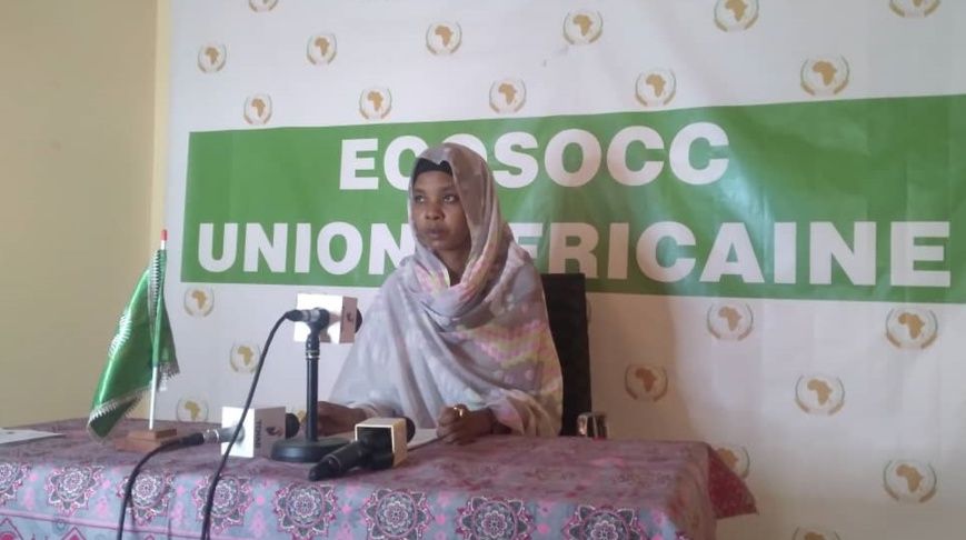 ECOSOCC : la vice-présidente se prononce sur les organisations non gouvernementales