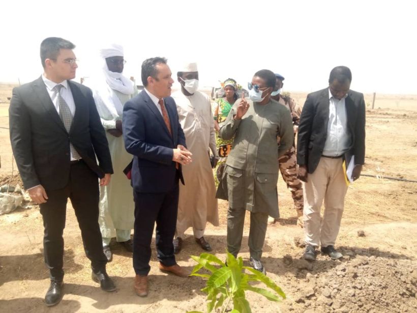 Tchad : l'agence Tika accompagne les femmes dans la production agricole