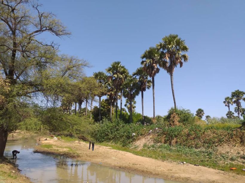 Tchad : des coupeurs de route tuent un père et son fils au Sila