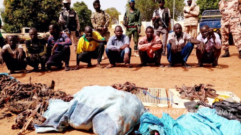 Tchad : des braconniers appréhendés par les agents de sécurité à Am-Timan