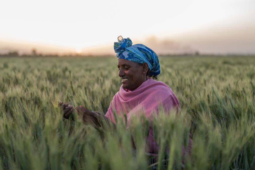 La BAD approuve une facilité de 1,5 milliard de dollars pour prévenir une crise alimentaire. © Afdb