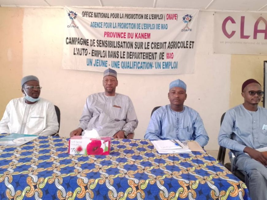 Tchad : l’ONAPE sensibilise sur le crédit agricole et l’auto-emploi à Mao