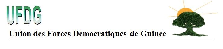 Congrès de renouvellement : La direction de l'UFDG dénonce une "démarche illégale"