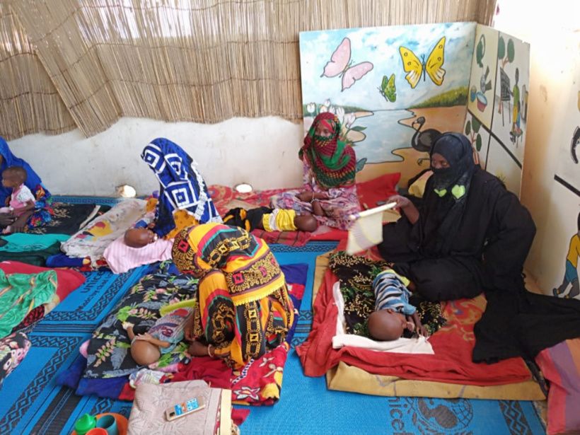 Tchad : la malnutrition "est la cause de 43% des mortalités infantiles"