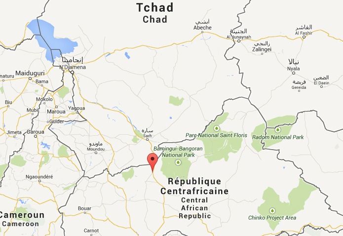 RCA : L'archevêque de Bossangoa, des prêtres et des médecins libérés par leurs ravisseurs