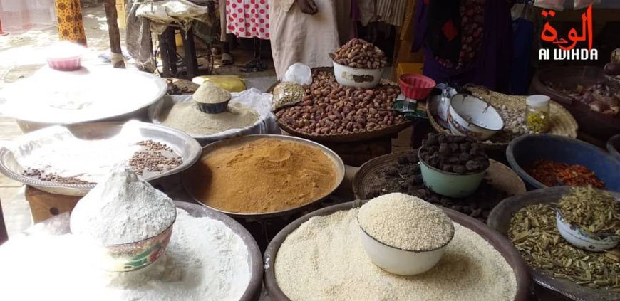 Tchad : prise en charge de la malnutrition dans le Mayo Kebbi Ouest
