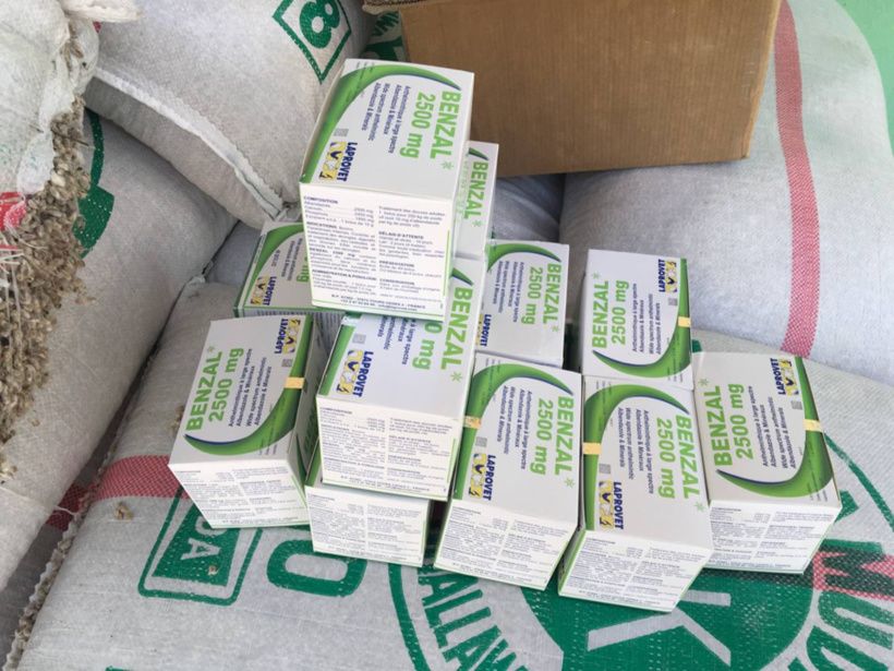 Tchad : le gouvernement lance une distribution d'aliments pour sauver le bétail