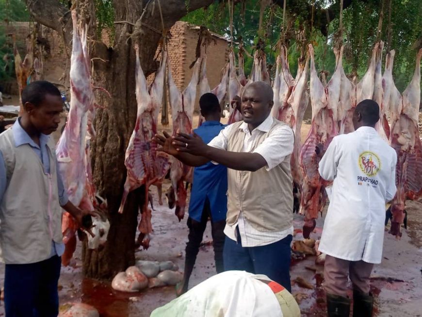 Tchad : les commerçants d'Ati s'approprient les bonnes pratiques d'hygiène alimentaire