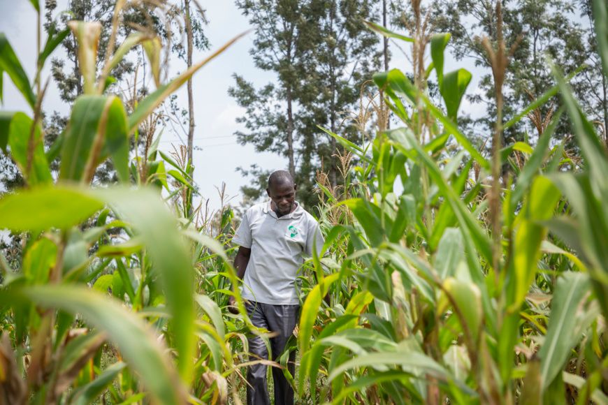 Afrique : plus d’un milliard $ de la BAD pour lancer un plan de production alimentaire d'urgence