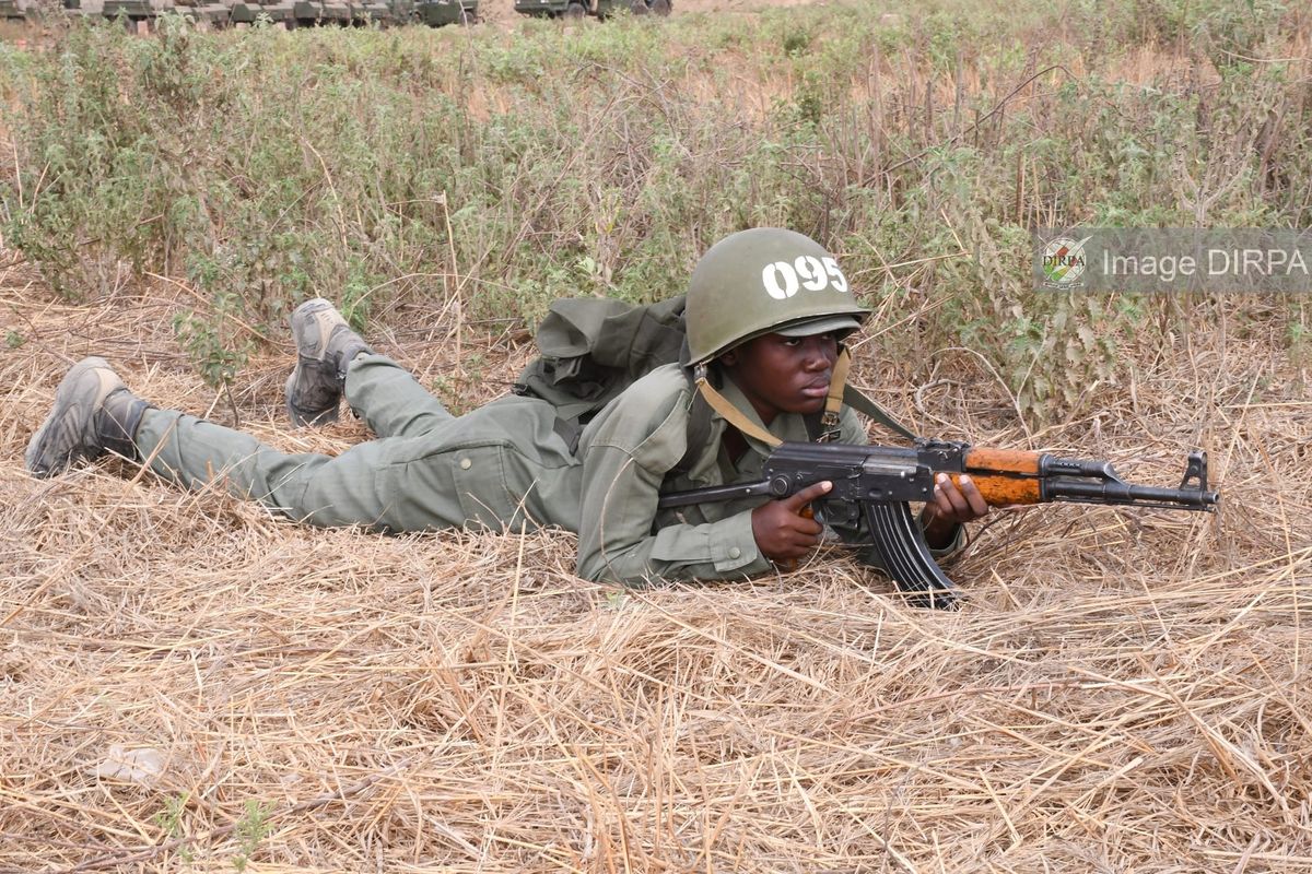 Opération militaire d'envergure au Mali après une attaque terroriste