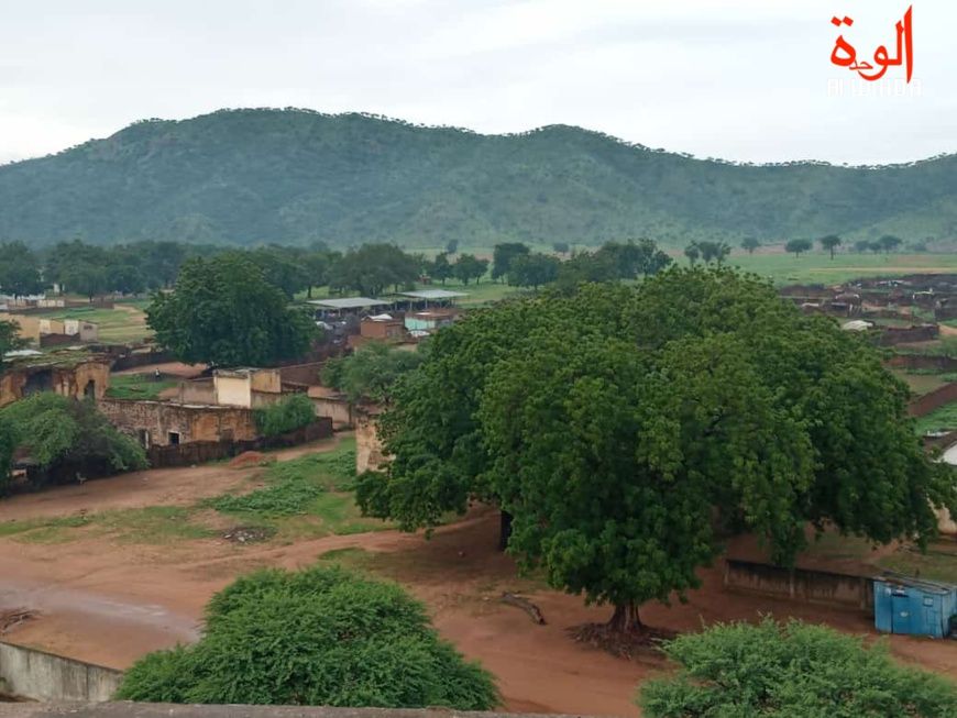 Tchad : un mort et trois blessés dans une attaque à Addé