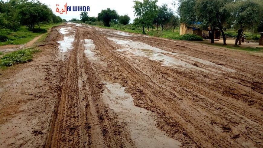 Tchad : la détérioration avancée des routes au Sud préoccupe