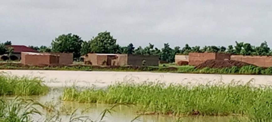 Tchad : les eaux pluviales ne sont pas une menace mais une opportunité