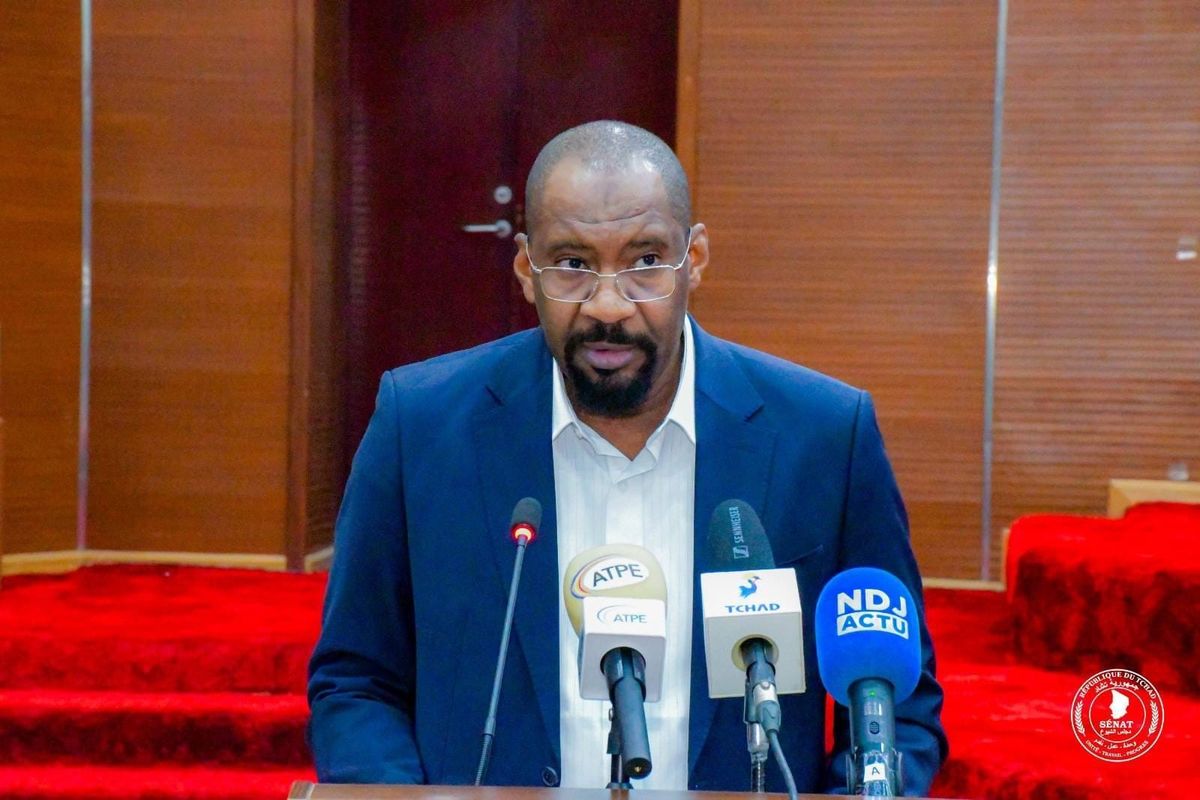 Tchad : des agents "interpellés" après les tirs meurtriers au rassemblement des Transformateurs (Ministre Sécurité)