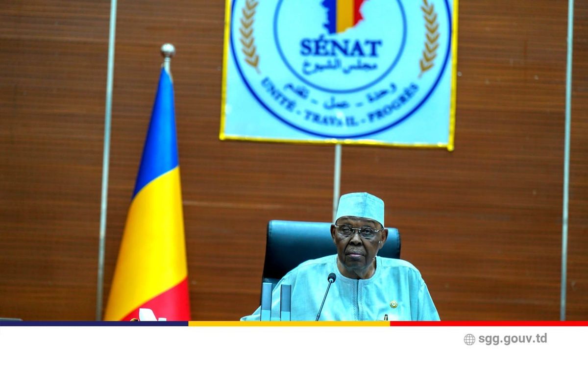 Tchad : Le Sénat approuve la création de l'Institut ÉDU-SAHEL