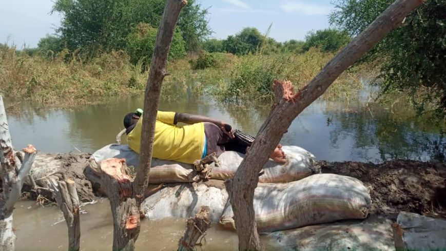 Tchad : des champs et maisons engloutis à Mani
