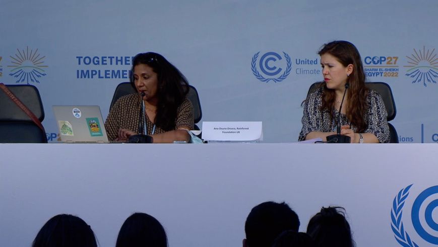 "Les dirigeants africains doivent défendre les populations du continent qui souffrent des dommages climatiques"