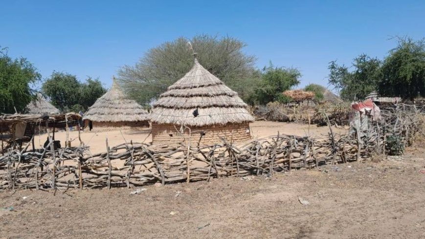 Tchad : il tue sa femme, blesse une voisine et prend la fuite, à Koundjourou