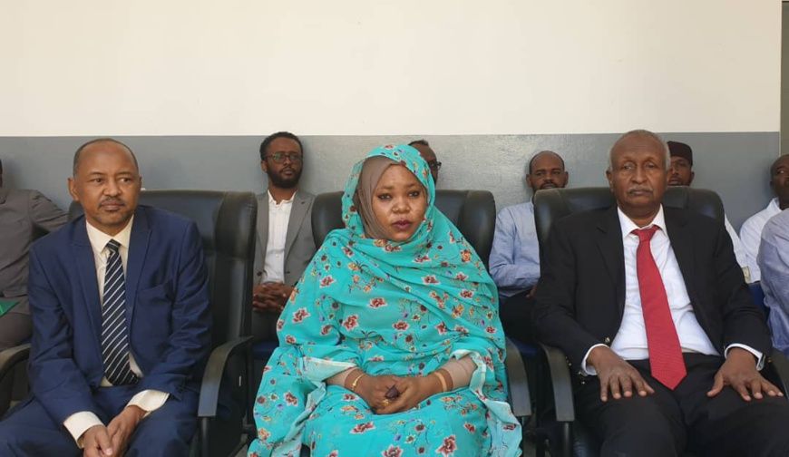 Tchad : une caravane médicale soudanaise gratuite lancée à l'hôpital de Farcha
