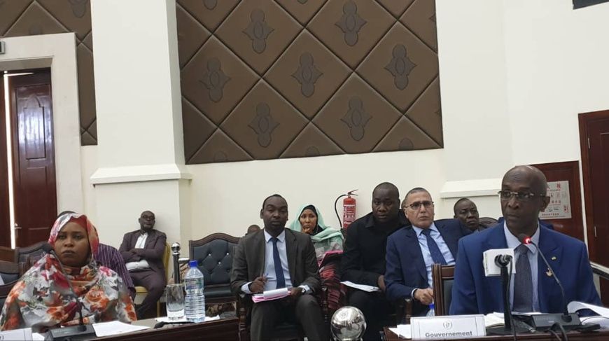 Tchad : des lois sur la cybersécurité, cybercriminalité et cyberdéfense adoptées