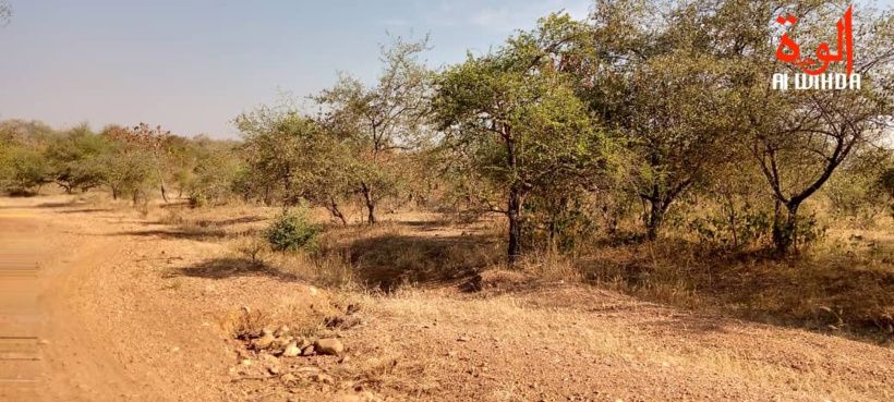 Tchad : deux personnes enlevées à Lamé, la rançon fixée à 20 millions Fcfa