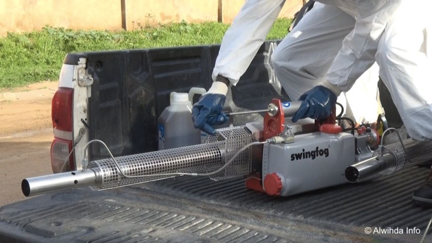 Tchad : les moustiques piquent 12 mois sur 12 à N'Djamena