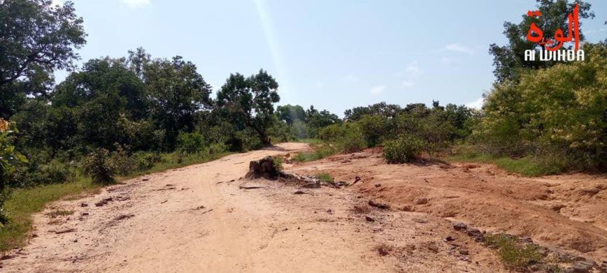 Tchad : un homme kidnappé et sa famille sommée de ne pas alerter les forces de l'ordre