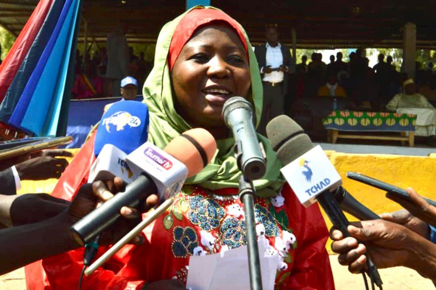 Tchad : "dans deux mois, toutes les familles de Gounou-Gaya seront connectées à l'électricité"