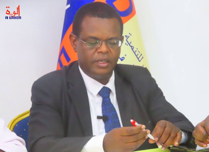 Tchad : le CEDPE examine les impacts des sommets Afrique-Mondes sur le développement du continent