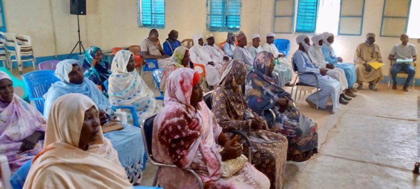 Tchad : une plateforme d'innovation des chaînes de valeur mise en place dans le Salamat